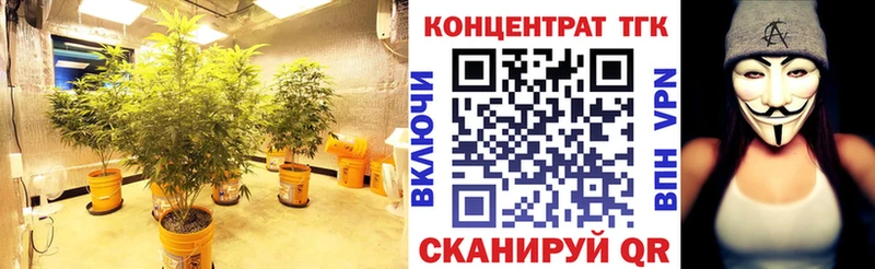 магазин продажи   Тутаев  ТГК гашишное масло 